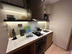 Mount Elizabeth Link (D9), Apartment #475553551